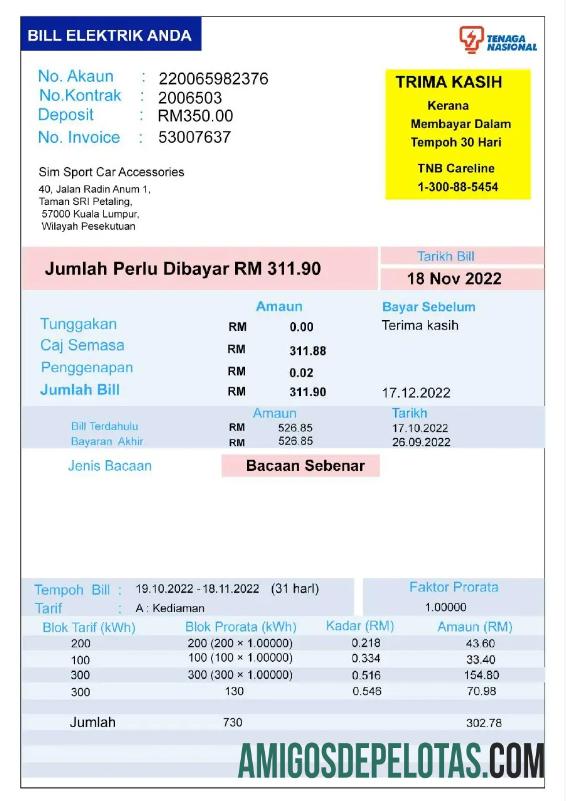 realista Modelo Word e PDF de projeto de lei de serviços públicos de energia nacional da Índia